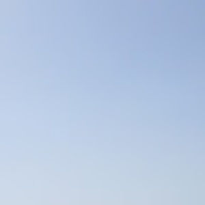 Meet your Posher, Chedva